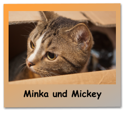 Minka und Mickey