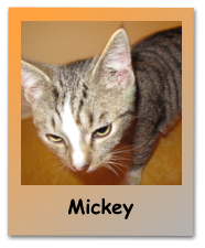 Mickey