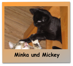 Minka und Mickey