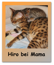 Hiro bei Mama