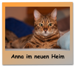 Anna im neuen Heim