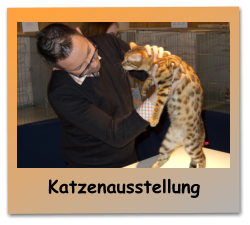 Katzenausstellung